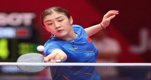 他们取得了 他们取得了