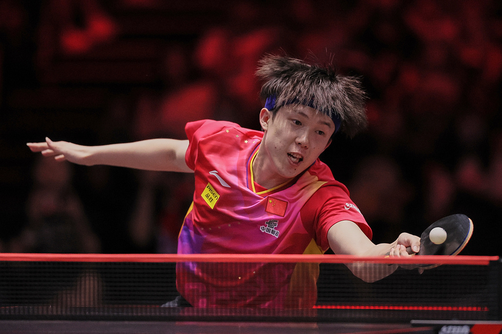 社会的融合 社会的融合