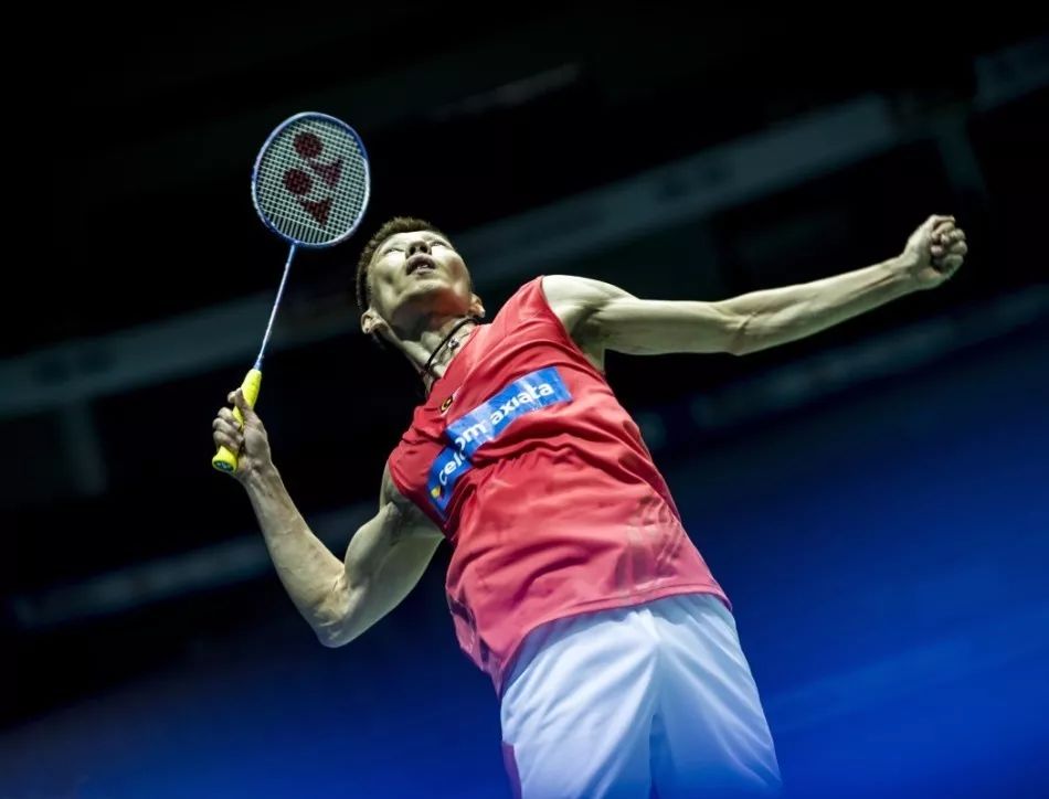 他们的专业 他们的专业