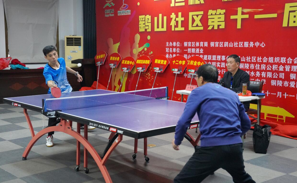 山东女排素 山东女排素