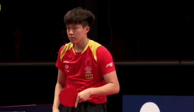 最真实的动 最真实的动